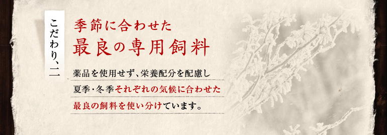 季節に合わせた最良の専用飼料