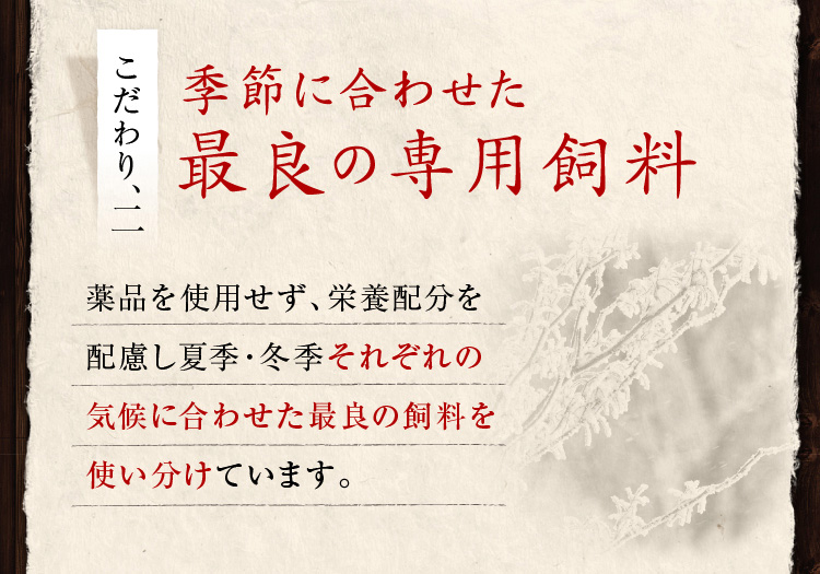 季節に合わせた最良の専用飼料